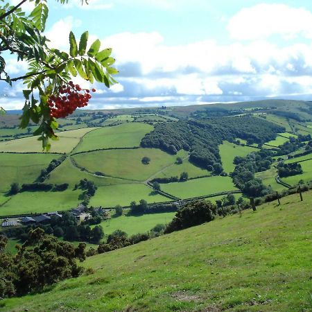 Rose Cottage Dutlas Knighton  Esterno foto