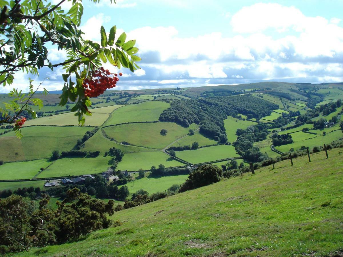 Rose Cottage Dutlas Knighton  Esterno foto