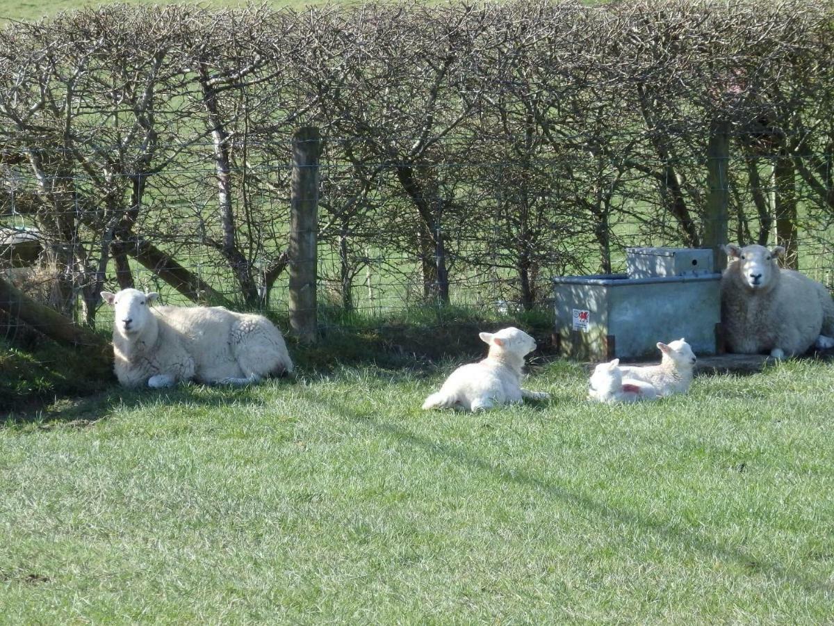 Rose Cottage Dutlas Knighton  Esterno foto