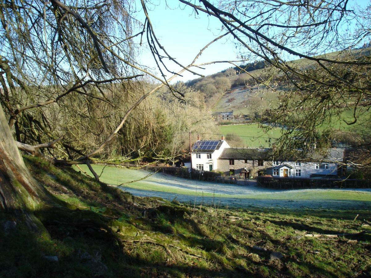 Rose Cottage Dutlas Knighton  Esterno foto