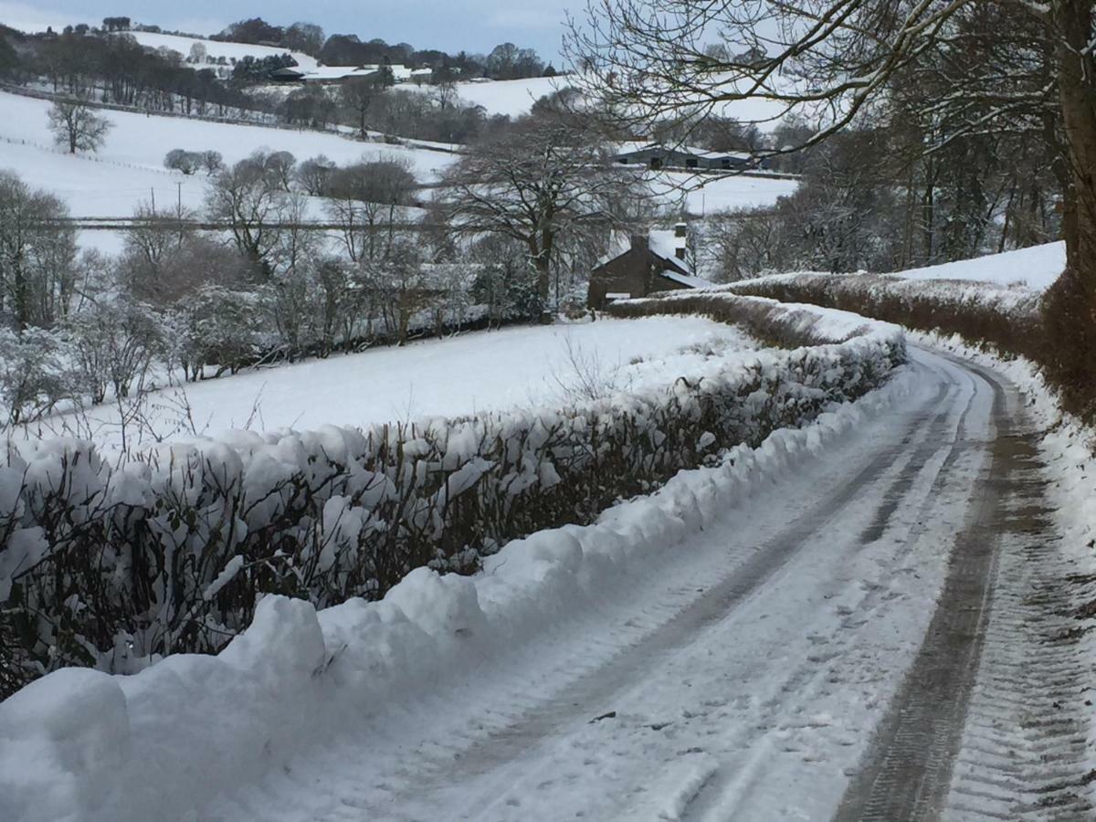 Rose Cottage Dutlas Knighton  Esterno foto